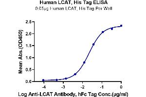 ELISA image for Lecithin-Cholesterol Acyltransferase (LCAT) (AA 25-440) protein (His tag) (ABIN7275130)