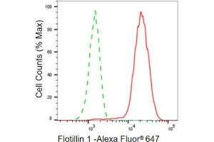 Flow cytometric analysis of Flotillin 1 expression in HepG2 cells using Flotillin 1 antibody (ABIN7798632), 1:2,000). (Rekombinanter Flotillin 1 Antikörper)