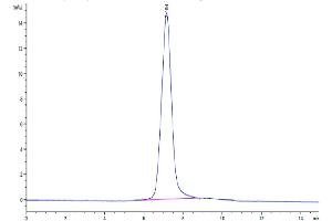 The purity of Human ITGAX&ITGB2 is greater than 95 % as determined by SEC-HPLC.
