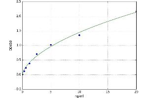 A typical standard curve