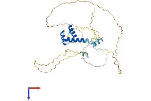 EN2 Protein (AA 1-324) (His tag)