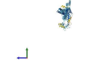Protein Structure (PS) image for DC-STAMP Domain Containing 1 (DCST1) (AA 1-732) protein (His tag) (ABIN7556897)