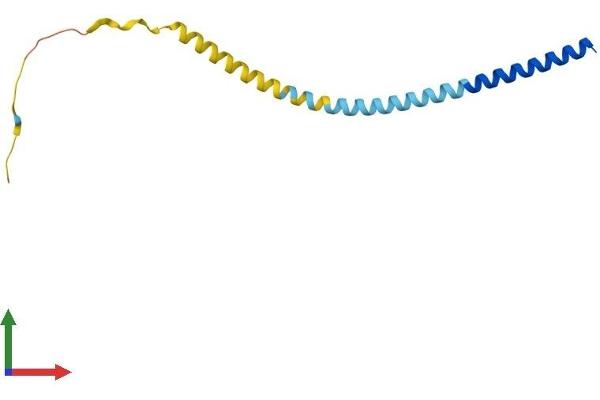 VAMP1 Protein (AA 1-118) (His tag)