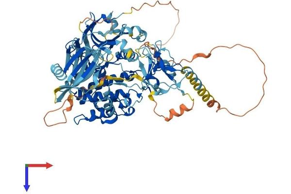 PKC theta Protein (AA 1-706) (His tag)