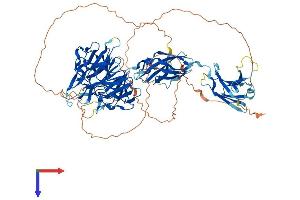 HCFC2 Protein (AA 1-792) (His tag)