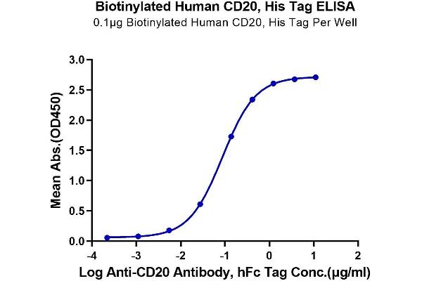 CD20 Protein (AA 141-188) (His-Avi Tag,Biotin)