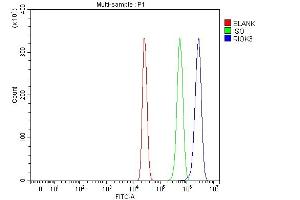 Flow Cytometry analysis of HepG2 cells using anti-RIOK3 antibody (ABIN7601837).