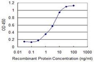 Detection limit for recombinant GST tagged PRKCD is 0. (PKC delta Antikörper  (AA 577-676))