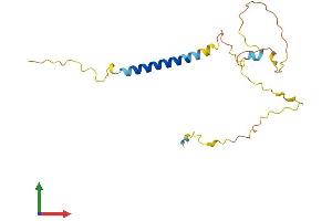 AlphaFold protein structure predicition of Mouse Recombinant Sit1 Protein, UniprotID Q8C503