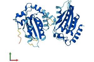 Protein Structure (PS) image for Apolipoprotein B mRNA Editing Enzyme, Catalytic Polypeptide-Like 3F (APOBEC3F) (AA 1-373) protein (His tag) (ABIN7551758)