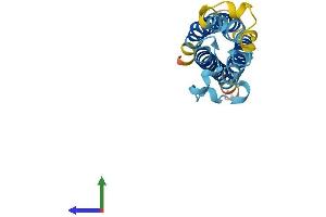 AlphaFold protein structure predicition of Human Recombinant TM4SF18 Protein, UniprotID Q96CE8