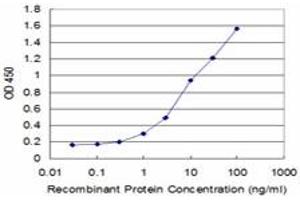 ELISA image for anti-Solute Carrier Family 2 (Facilitated Glucose Transporter), Member 4 (SLC2A4) (AA 467-509) antibody (ABIN520227)
