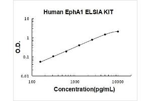 Typical Standard Curve