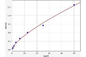 Caspase 9 ELISA Kit