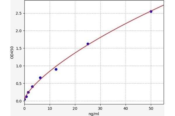 WNT5B ELISA Kit