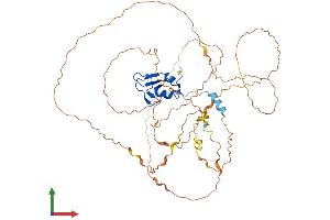 AlphaFold protein structure predicition of Human Recombinant RNF38 Protein, UniprotID Q9H0F5