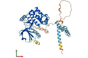 Protein Structure (PS) image for serine/threonine Kinase 25 (STK25) (AA 1-426) protein (His tag) (ABIN7556450)