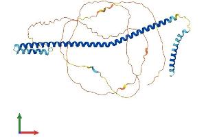 Protein Structure (PS) image for MLF1 Interacting Protein (MLF1IP) (AA 1-410) protein (His tag) (ABIN7559137)