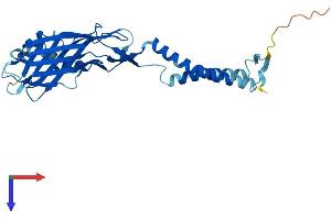 TMEM231 Protein (AA 1-316) (His tag)