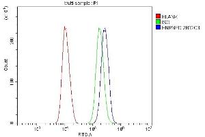 Flow Cytometry analysis of SiHa cells using anti- hnRNP D/AUF1/HNRNPD antibody (ABIN7602591).