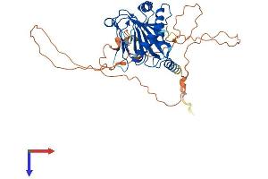 PHD1 Protein (AA 1-407) (His tag)