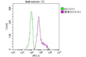 Flow Cytometry (FACS) image for anti-Green Fluorescent Protein (GFP) antibody (ABIN7141875)