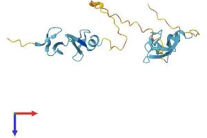 CSRP1 Protein (AA 1-193) (His tag)
