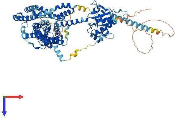 SLC26A6 Protein (AA 1-758) (His tag)