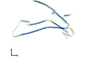 Protein Structure (PS) image for KIAA1984 (KIAA1984) (AA 1-534) protein (His tag) (ABIN7561921)