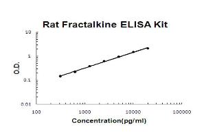 Rat Fractalkine Accusignal ELISA Kit Rat Fractalkine AccuSignal ELISA Kit standard curve.
