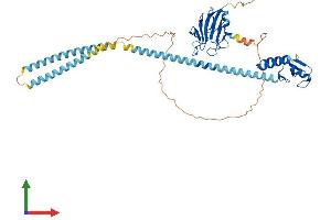Protein Structure (PS) image for Ring Finger Protein 8 (RNF8) (AA 1-485) protein (His tag) (ABIN7555240)