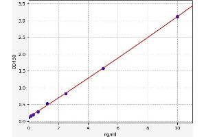 Typical standard curve (ARNT2 ELISA Kit)