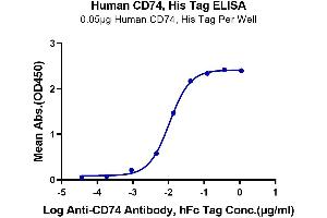 Immobilized Human CD74 at 0. (CD74 Protein (AA 73-232) (His tag))