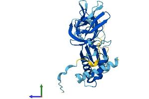 Protein Structure (PS) image for Exosome Component 2 (EXOSC2) (AA 1-293) protein (His tag) (ABIN7564722)