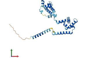 AlphaFold protein structure predicition of Human Recombinant DNAJC9 Protein, UniprotID Q8WXX5