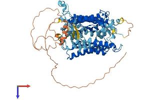 SLC23A2 Protein (AA 1-648) (His tag)