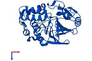 PPP6C Protein (AA 1-305) (His tag)