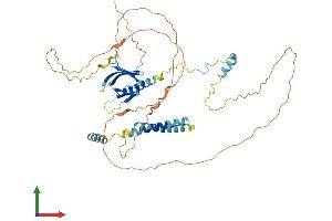 Protein Structure (PS) image for Pleckstrin Homology Domain Containing, Family O Member 2 (PLEKHO2) (AA 1-490) protein (His tag) (ABIN7550720)