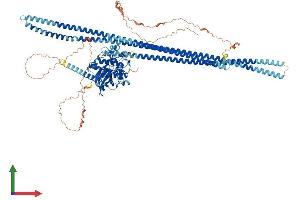 Protein Structure (PS) image for TAO Kinase 1 (TAOK1) (AA 1-1001) protein (His tag) (ABIN7563816)