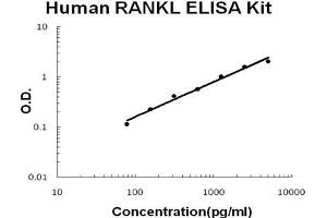 Human TNFSF11/RANKL PicoKine ELISA Kit standard curve (RANKL ELISA Kit)
