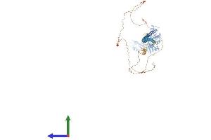 Protein Structure (PS) image for A Kinase (PRKA) Anchor Protein 17A (AKAP17A) (AA 1-695) protein (His tag) (ABIN7552041)