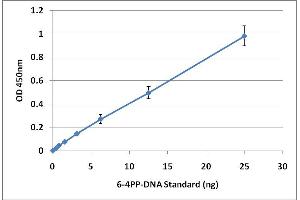 6-4PP-DNA Standard Curve (UV-Induced DNA Damage ELISA Kit)