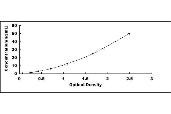 PADI3 ELISA Kit