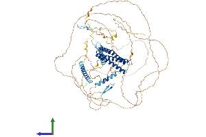 Protein Structure (PS) image for Discs, Large (Drosophila) Homolog-Associated Protein 5 (DLGAP5) (AA 1-808) protein (His tag) (ABIN7564680)