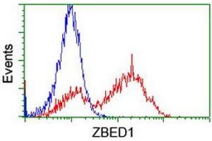 Image no. 2 for anti-Zinc Finger, BED-Type Containing 1 (ZBED1) antibody (ABIN1501796) (ZBED1 Antikörper)