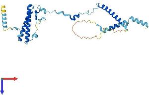 Protein Structure (PS) image for ISY1 Splicing Factor Homolog (ISY1) (AA 1-285) protein (His tag) (ABIN7557890)