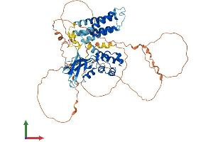 Protein Structure (PS) image for CNKSR Family Member 3 (CNKSR3) (AA 1-555) protein (His tag) (ABIN7558756)
