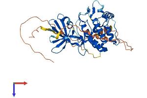 TRIB1 Protein (AA 1-372) (His tag)