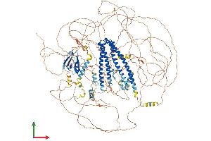 AlphaFold protein structure predicition of Mouse Recombinant Shroom2 Protein, UniprotID A2ALU4
