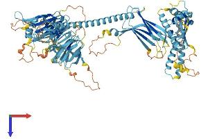 C17orf70 Protein (AA 1-881) (His tag)
